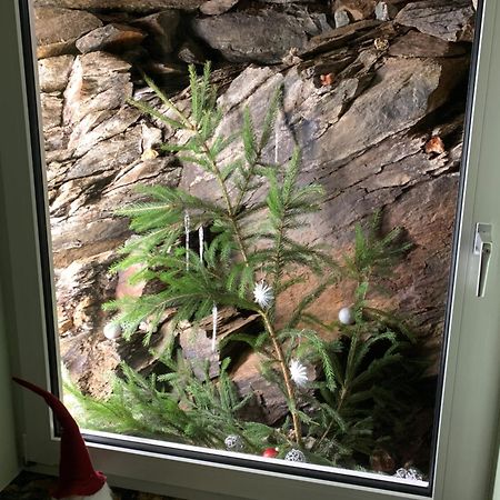 Ferienwohnung Rotbuche Tannenberg Εξωτερικό φωτογραφία